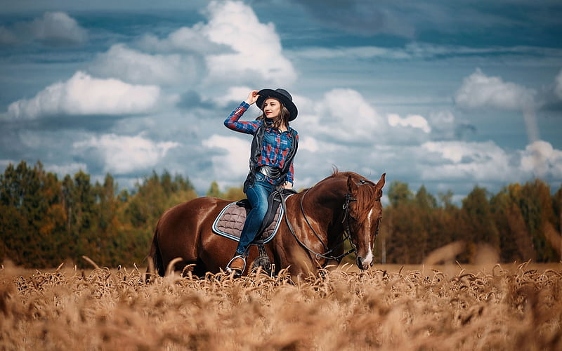 Beautiful girl, Girl, Field, Horse, Riding, graph, HD wallpaper