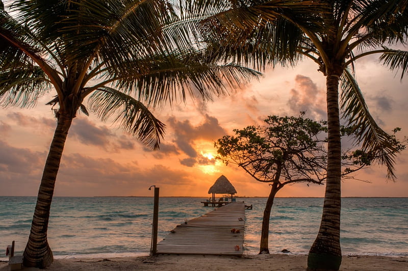 Island Beach Sunrise, islands, Belize, bonito, sky, caribbean, palm trees, sea, beach, sand, summer, sunrise, wooden walkway, tropical, HD wallpaper