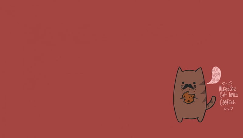 Cat, pussy, kitty, animal, HD wallpaper