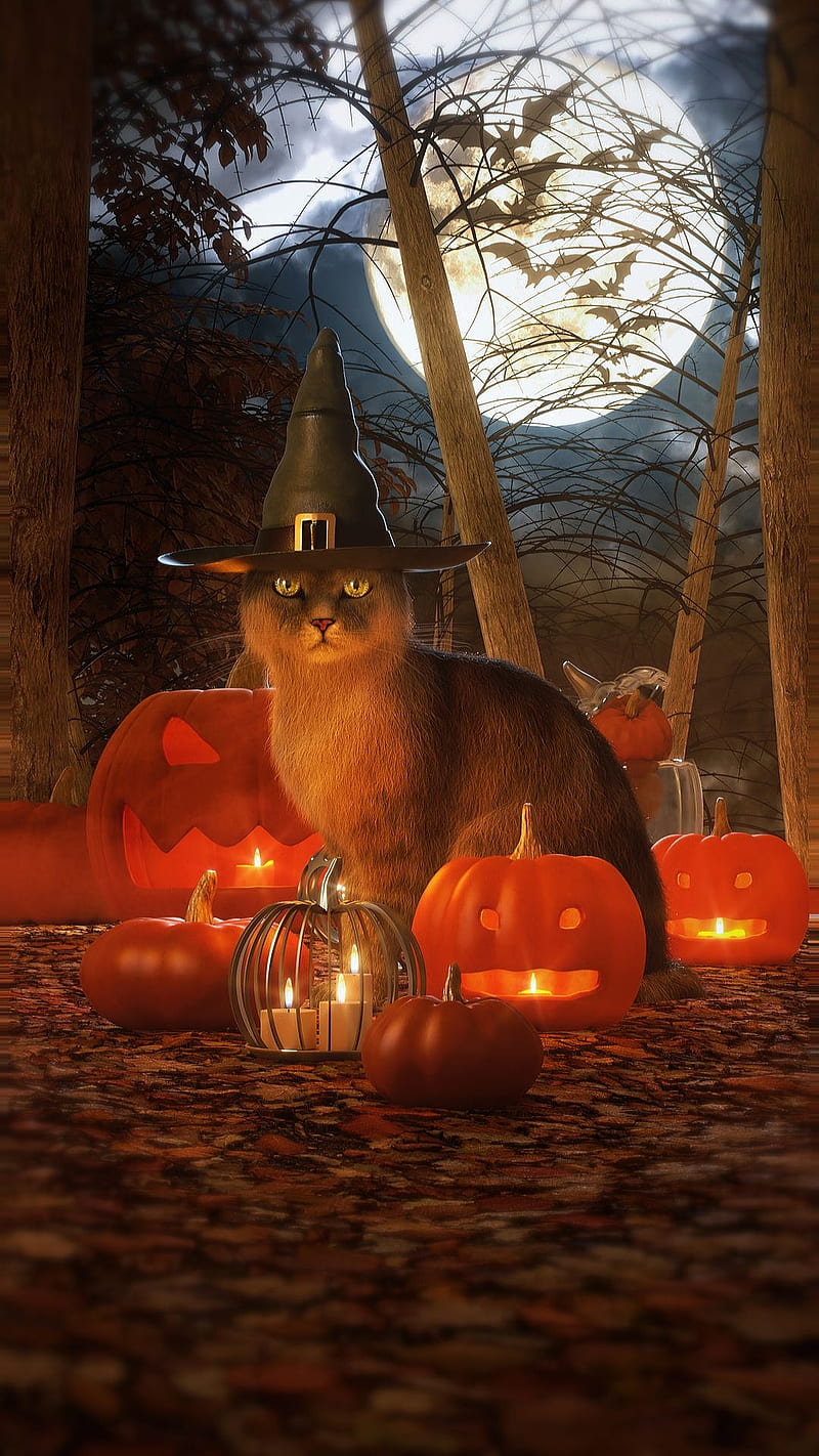 Happy halloween, orange, forest, moon, pumpkins, cat, scary, holiday, stary, HD phone wallpaper