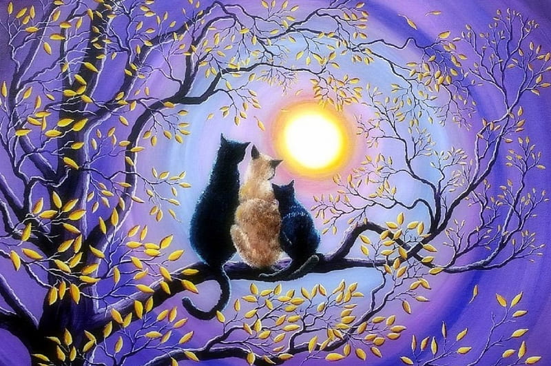 Moonlight Family, moons, family, draw and paint, love four seasons, trees, paintings, moonlight, cats, night, HD wallpaper