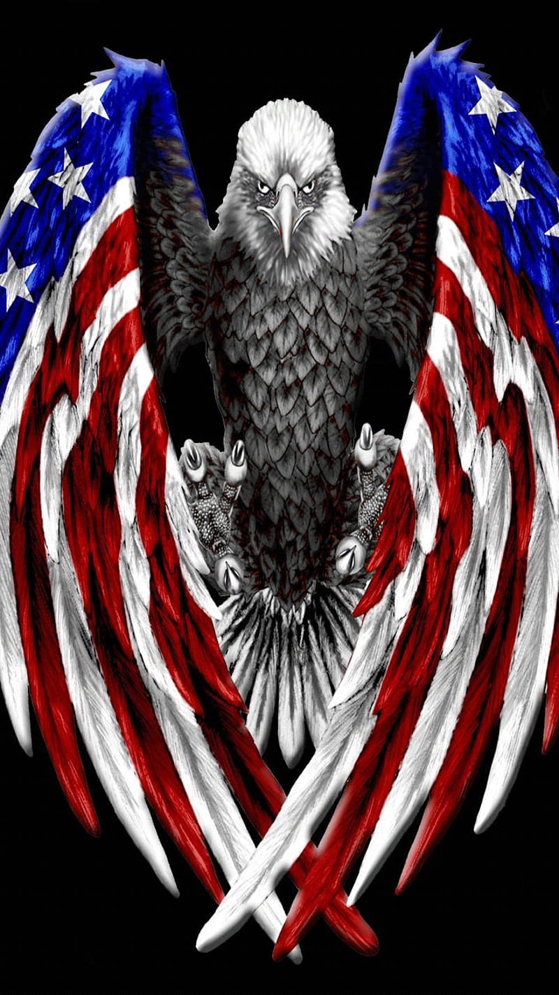Bald Eagle, eagle bald, america, HD phone wallpaper | Peakpx