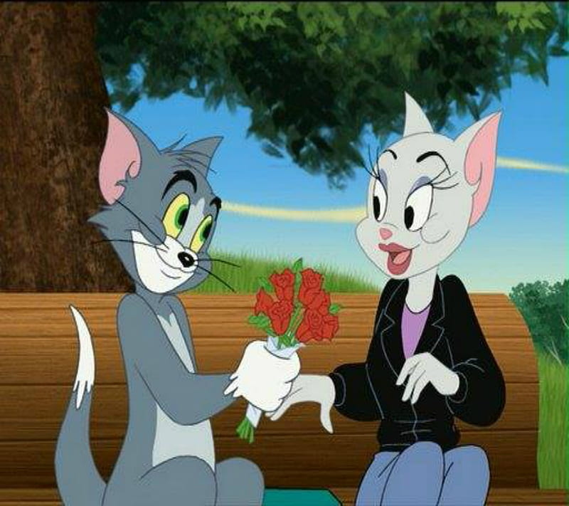 Tom Jerry, cartoon, jerry, kids, tom, HD wallpaper