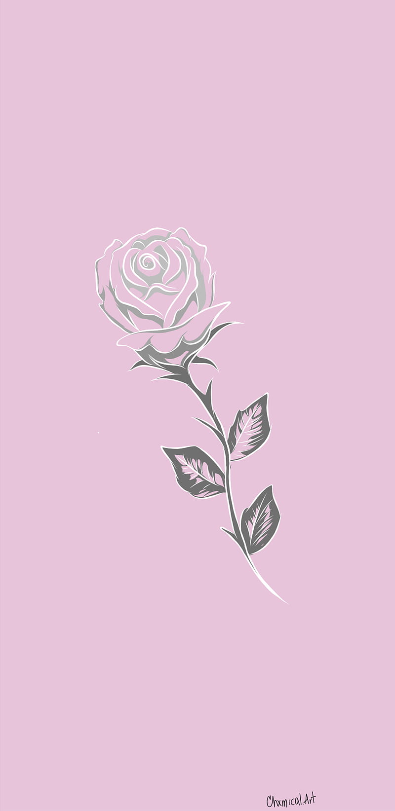 PINKROSE, pink, rose, rose, minimalist, illustration, draw, art, nature, tumblr, beauty, HD phone wallpaper