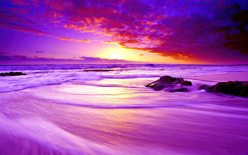 Purple Beach Sunset , sunset, sunrise, purple, beach, nature, HD wallpaper
