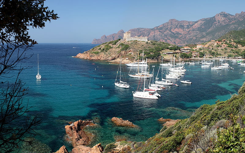 Corsica, bay, summer, white yachts, Italy, Mediterranean Sea, travel, HD wallpaper