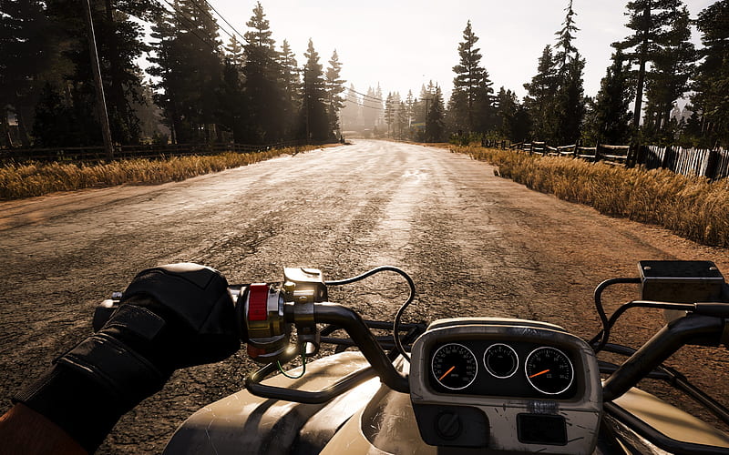 Far Cry 5, 2017, motorcycle riding, game world, sunset, road, HD wallpaper