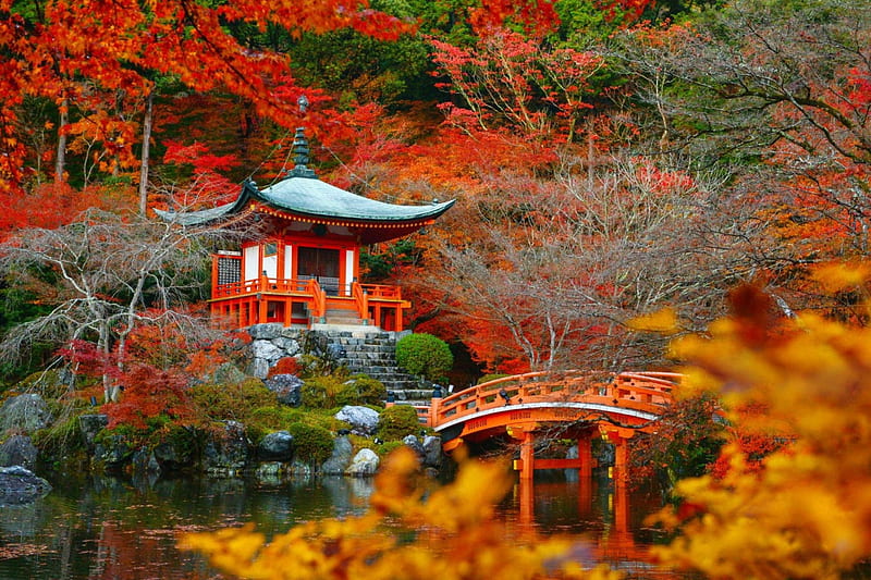 Công viên Nhật Bản trong mùa thu có tất cả những gì bạn có thể ước muốn: lá rụng trên đường đi, pavilion, cây cầu, màu sắc tuyệt vời, sông. Tất cả những điều đó được thể hiện rõ ràng trong những bức ảnh đẹp này.