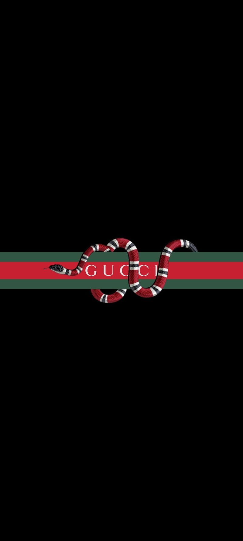 Gucci, white, background, black, snake, logo, , quality, HD phone wallpaper  | Peakpx