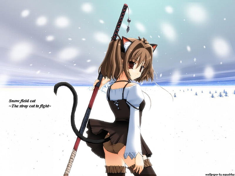 Snow Girl, Cant think of a fourth, Snow, Tail, Cat Girl, HD wallpaper