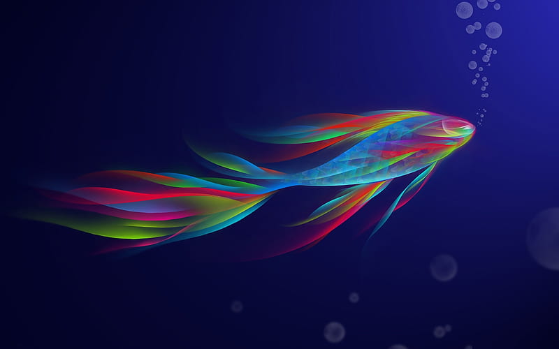 HD colorful fish wallpapers | Peakpx