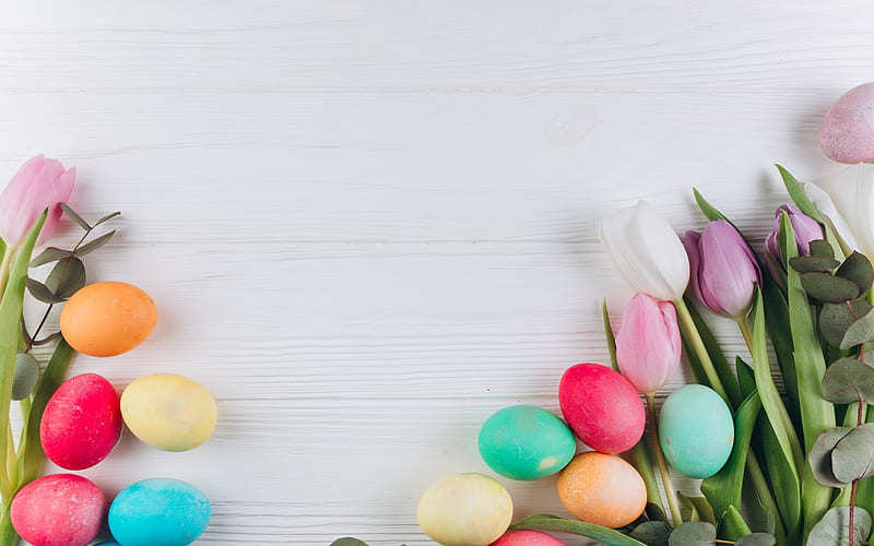 Easter eggs, pink tulips, spring flowers, Easter, colorful eggs, HD wallpaper