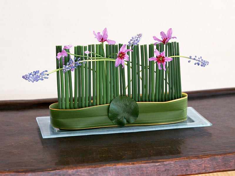 Ikebana Display, orchids, japanese, green, flowers, tray, pink, bamboo, blue, HD wallpaper