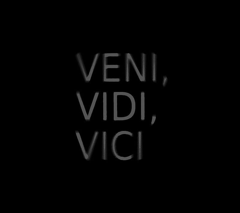 Vici, vidi, HD wallpaper