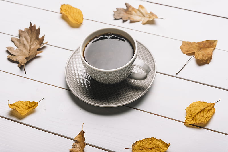 coffee, cup, dried leaves, Food, HD wallpaper