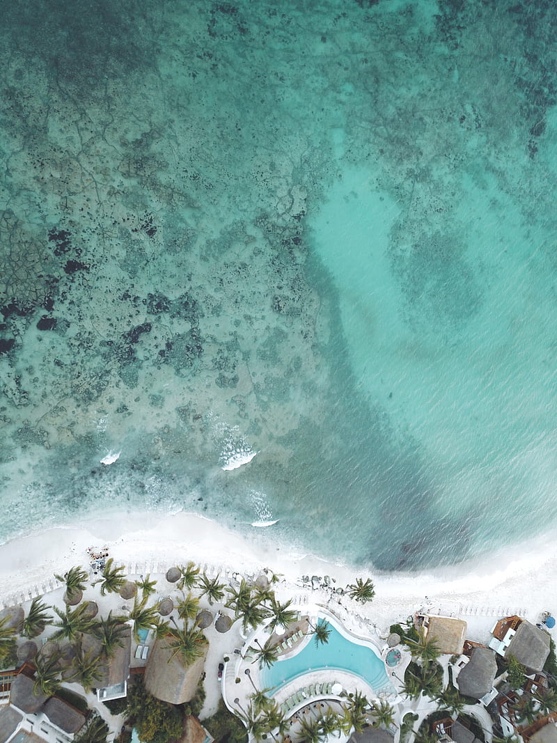 pool, coast, palm trees, aerial view, HD phone wallpaper