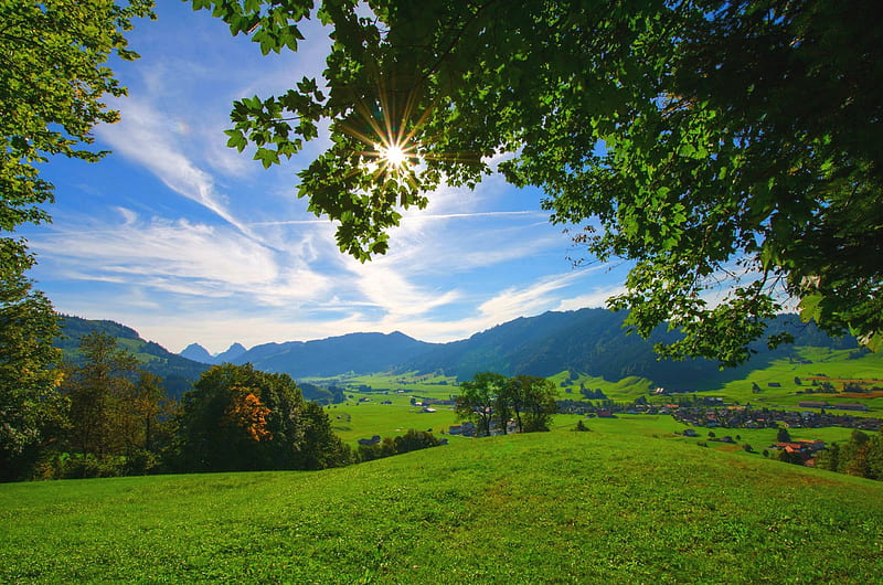 Summer Valley, Alps, sun, grass, town, bonito, Switzerland, trees, clouds, meadows, valley, green, mountains, summer, field, HD wallpaper