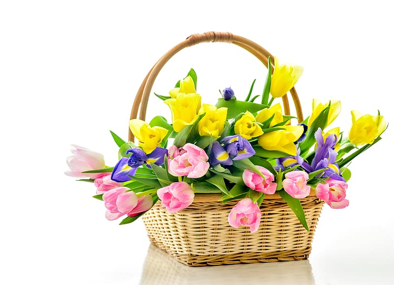Iris, Flower, Basket, Tulip, Yellow Flower, Purple Flower, , Pink Flower, HD wallpaper