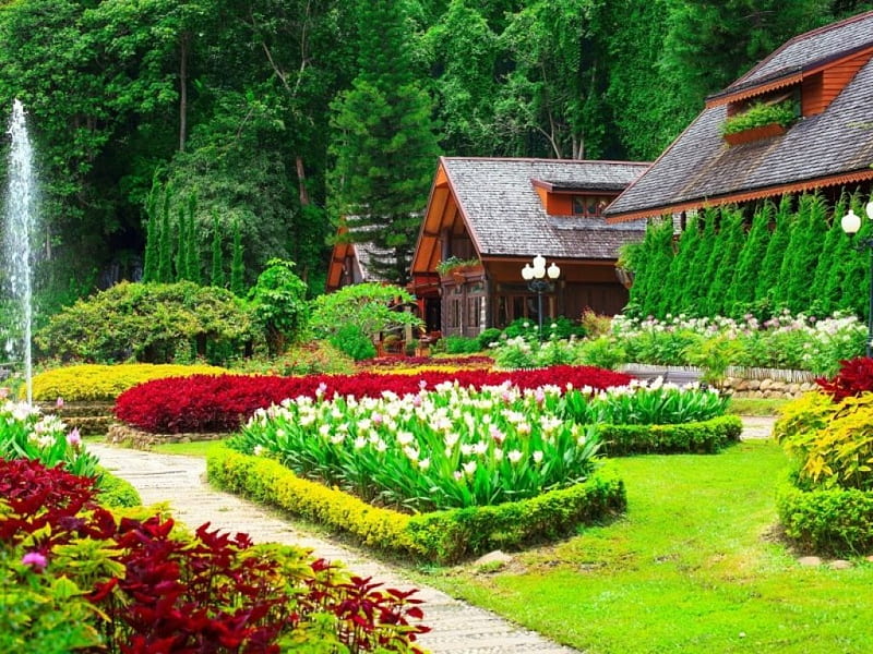 Garden of tulips, Tulips, Garden, History, Field, Park, Flowers, Nature, HD wallpaper