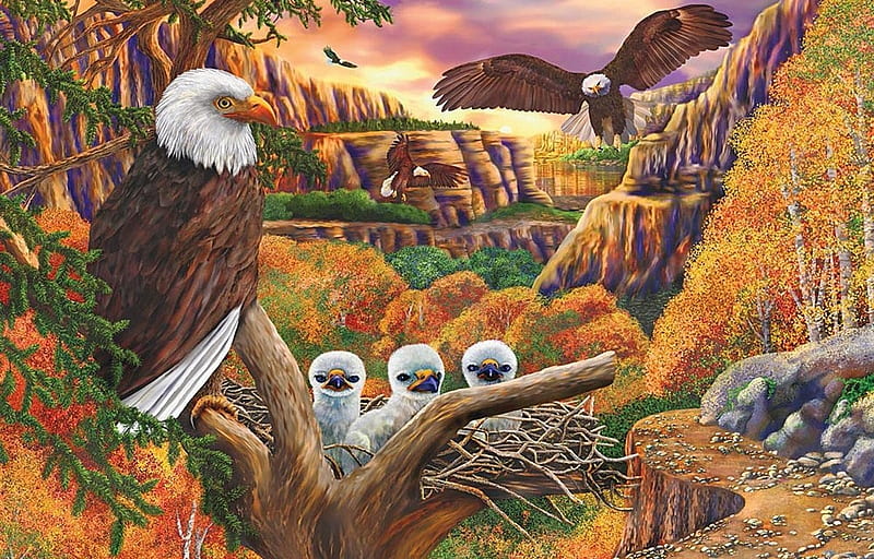 birds-forest-eagle-art-family , Familie, Land, Deutschland, Adler, HD wallpaper