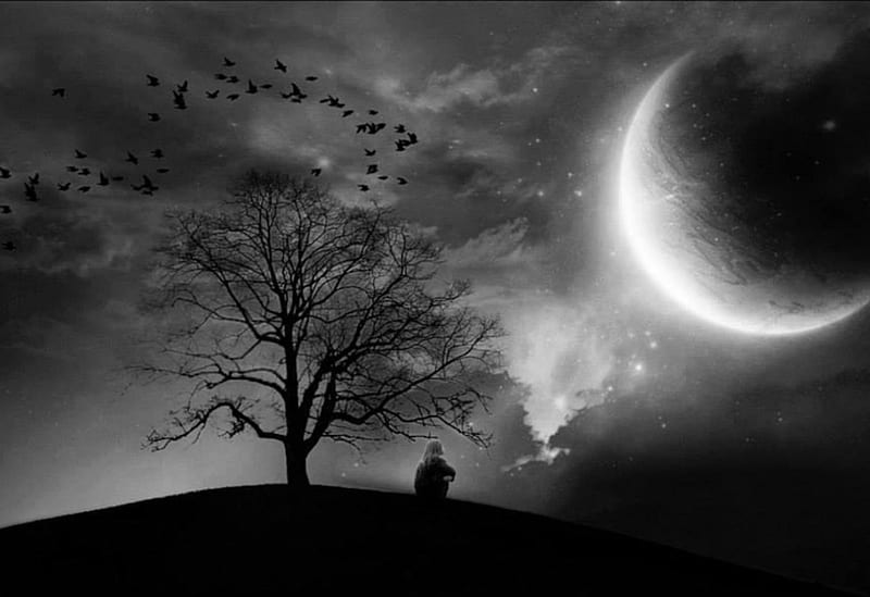 moon, black and white, nature, dream, night, HD wallpaper | Peakpx