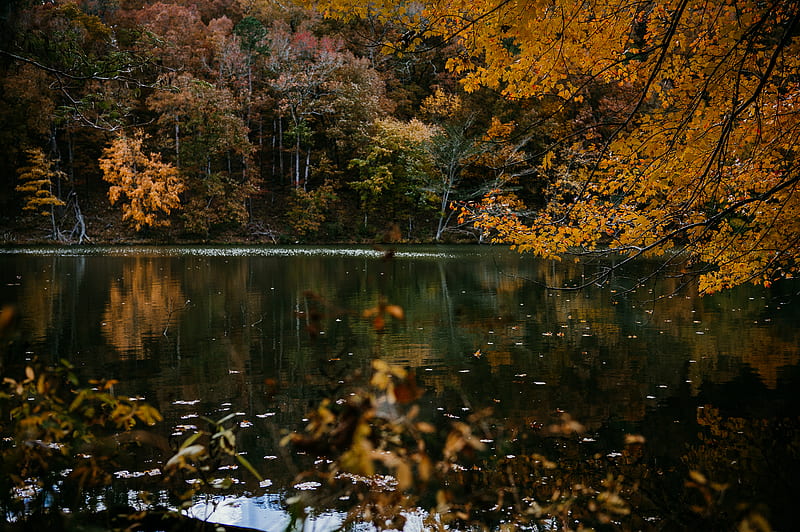 Lakes, Lake, Reflection, HD wallpaper | Peakpx