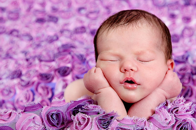 Baby girl, sleep, rose, baby, cute, girl, flower, copil, child, pink, HD wallpaper