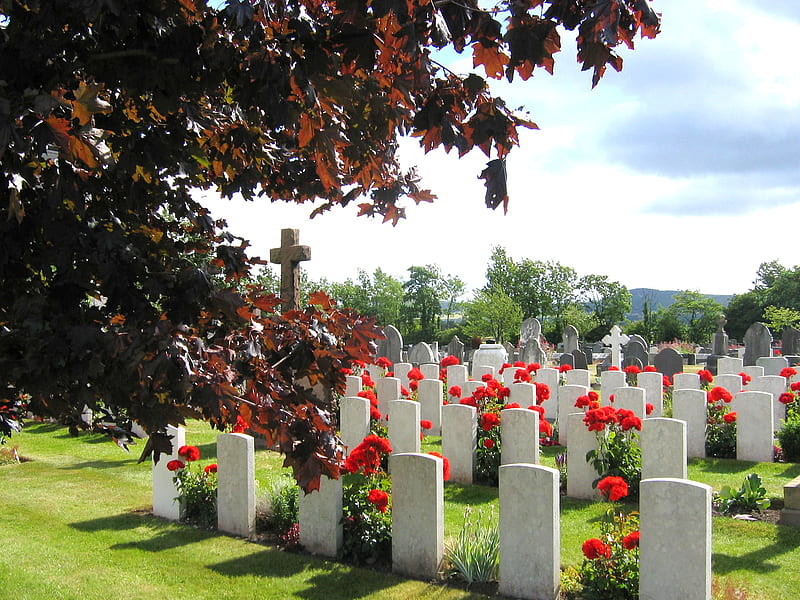 Canadian War Graves Part 2, head stones, green grass, over hanging branch, cross, sky, HD wallpaper