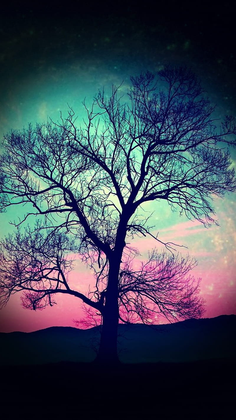 Nature, black, blue, color, land, landscape, love, pink, rainbow, tree, HD phone wallpaper