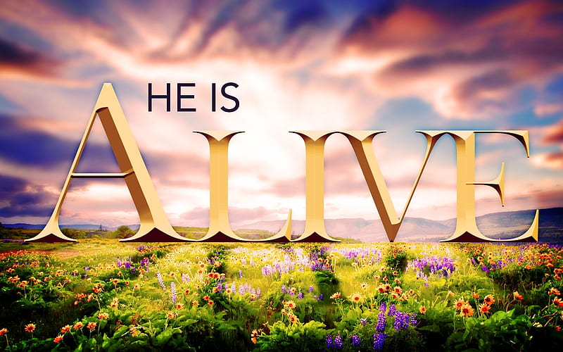 Easter ~ He Is Alive, Easter, wild flowers, mountains, flowers, trees, clouds, sky, field, HD wallpaper