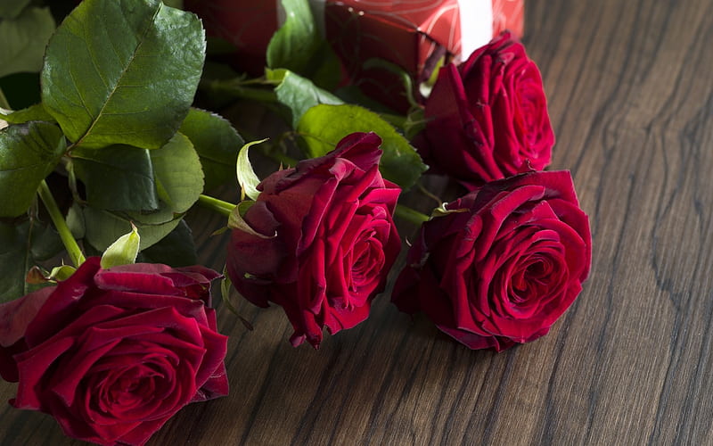 For my , velvet, roses, gift, red velvet, for my love, moment, love, passion, romantic day, HD wallpaper