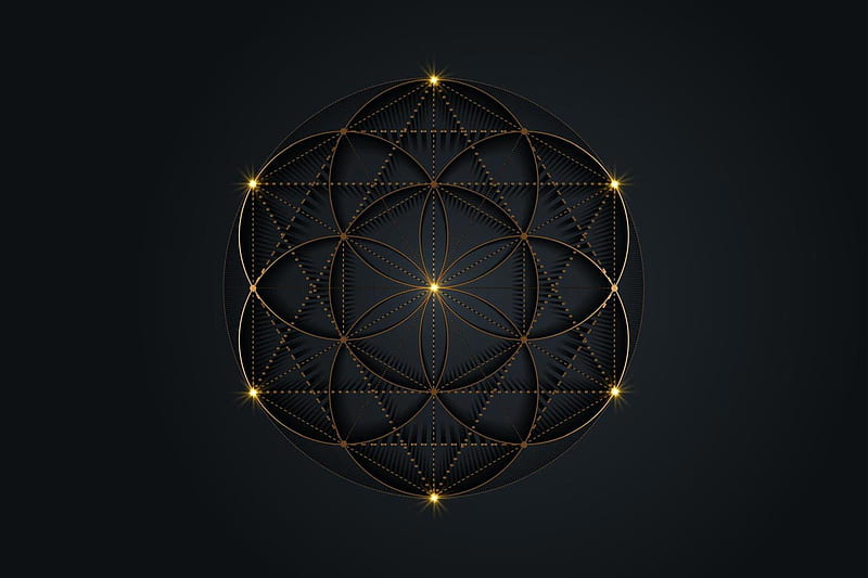 Flower of Life, Seed of life symbol Sacred Geometry, mystic mandala of alchemy esoteric sign. Golden luxury logo Vector isolated on black background 4915451 Vector Art at Vecteezy, HD wallpaper
