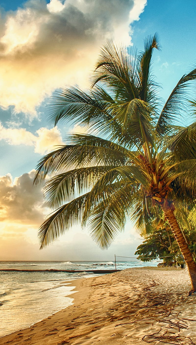 Brazilian Beach, brazil, landscape, nature, ocean, sea, sky, sunset, HD phone wallpaper