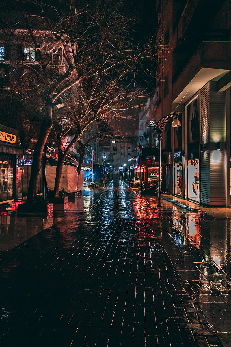 Night walk, blue, city, rainy, red, street, train, urban, HD phone wallpaper