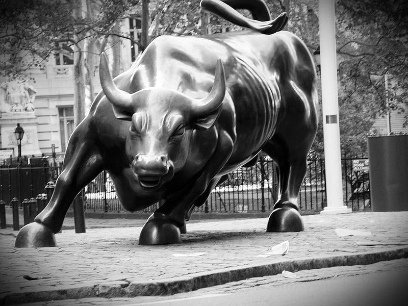 Bull Market Background Images, HD Pictures and Wallpaper For Free Download  | Pngtree