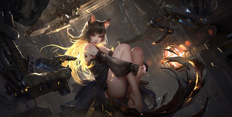 HD sexy catgirls wallpapers
