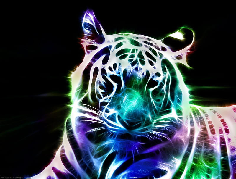 Fractal tiger, art, feline, fractal, neon, tiger, animal, HD wallpaper ...