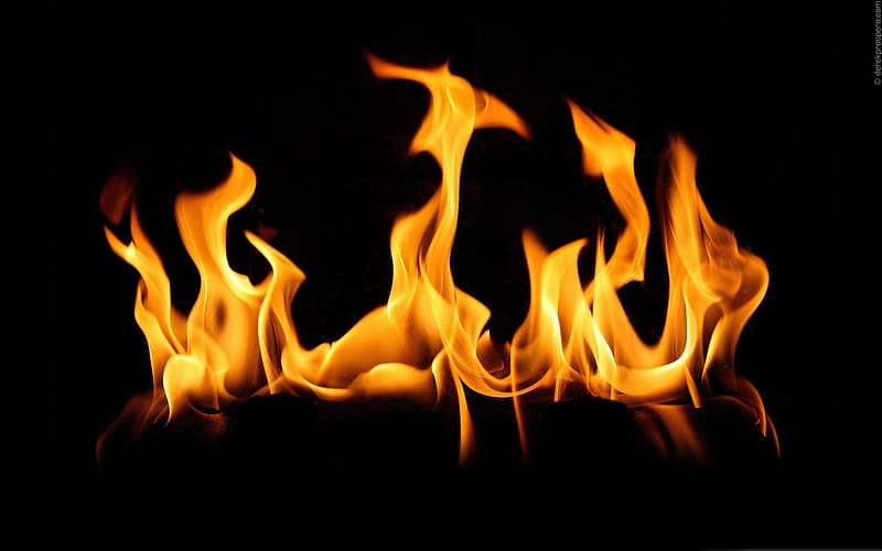 flame-The fire of artistic creativity design, HD wallpaper