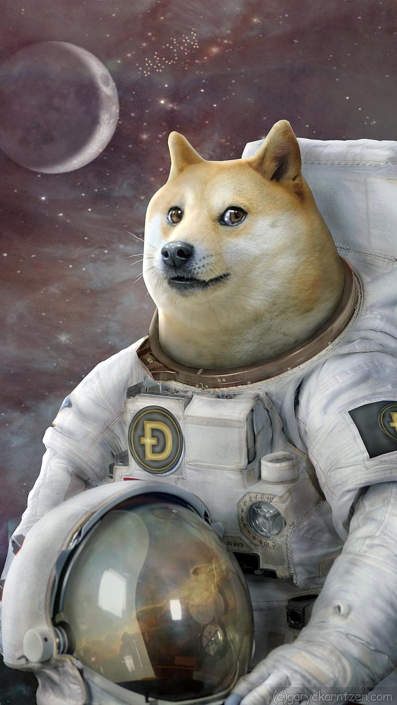10 Doge HD Wallpapers and Backgrounds