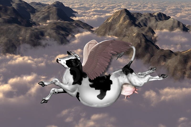 Flying Cow, flying, Mountains, funny, Cows, clouds, HD wallpaper