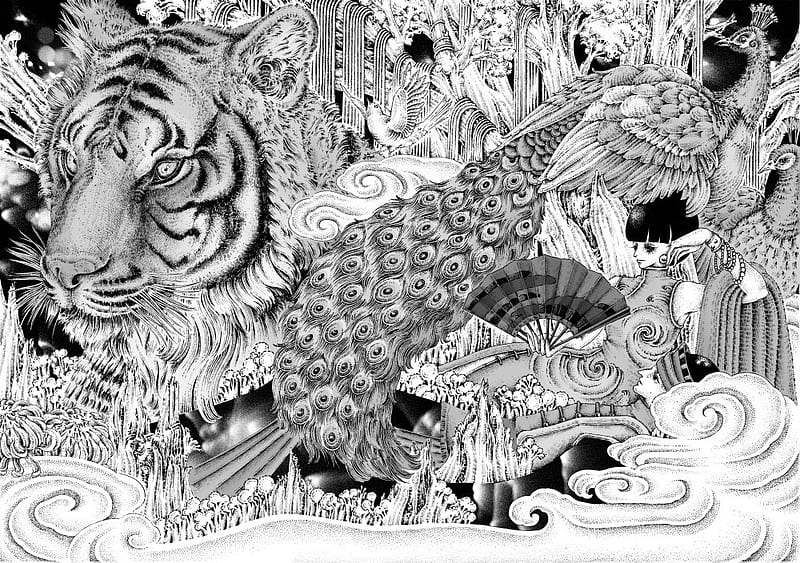 Monocrome safari, traditional, peacock, black, tiger, illustration, arts, bird, pencil, lady, white, HD wallpaper