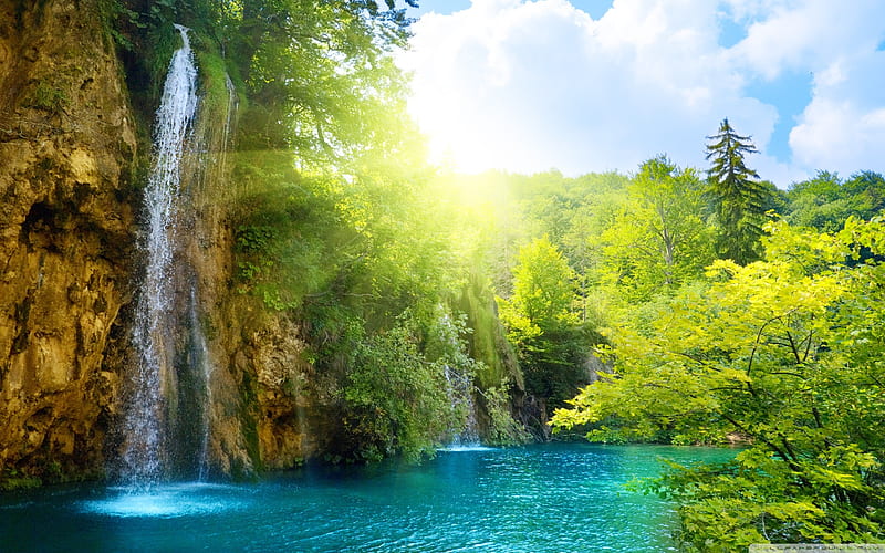 forest falls-World most famous waterfall landscape, HD wallpaper