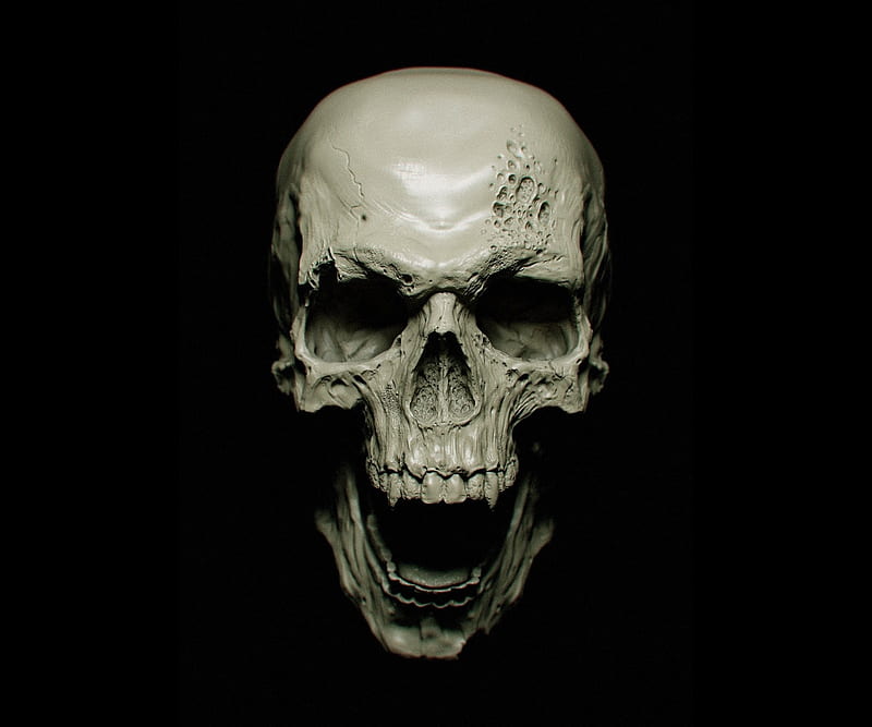 Skull, skull, digital-art, artist, HD wallpaper