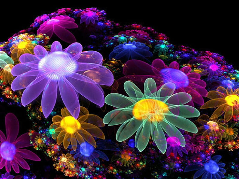 Fractalflowers, flower, 3d, nature, fractal, HD wallpaper | Peakpx