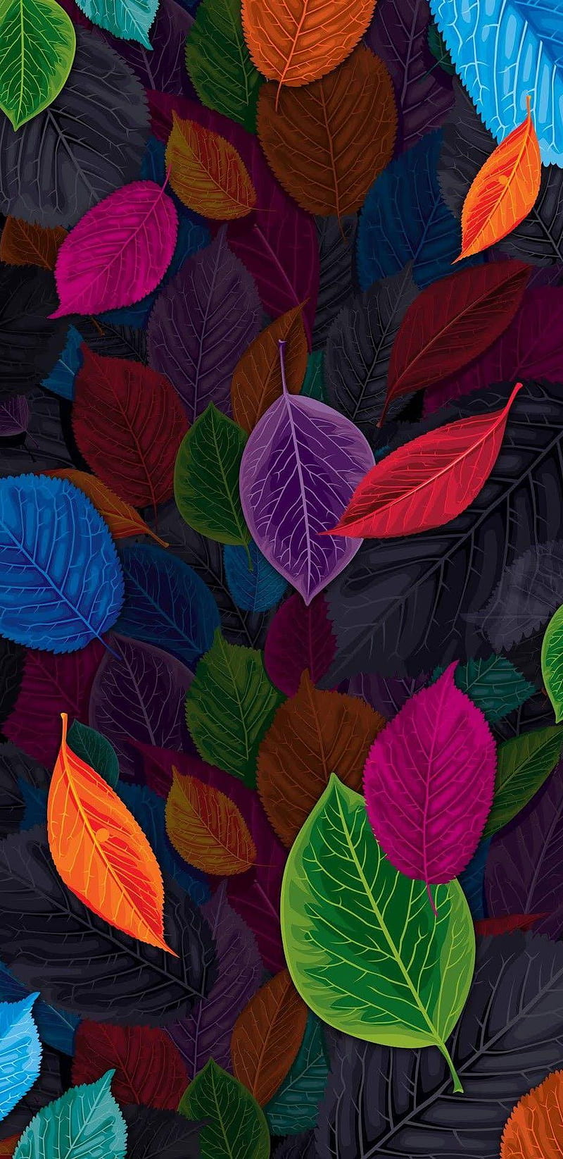 Abstract, best, colorful, dark, leaf, leafes, minimal, minimalism, nature, HD phone wallpaper