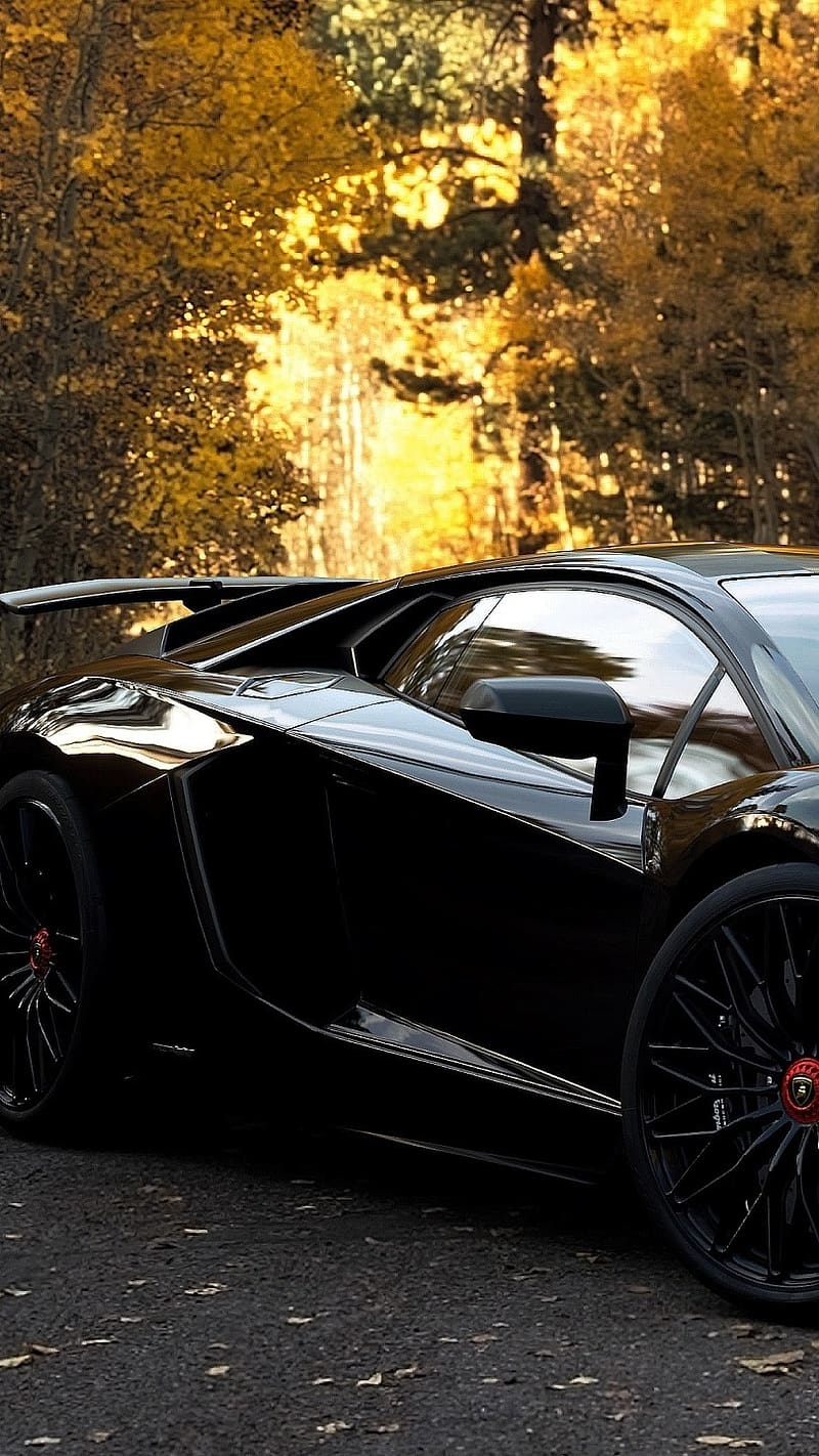 Black Lamborghini Wallpaper  Download to your mobile from PHONEKY