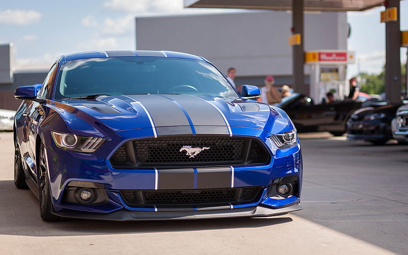 Ford Mustang, Blue, sports car, tuning Mustang, front view, American cars, Ford, HD wallpaper