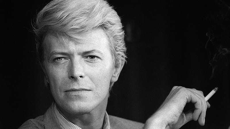 David Bowie (1947-2016), Ziggy Stardust, David Bowie, Genius, Male Singers, HD wallpaper