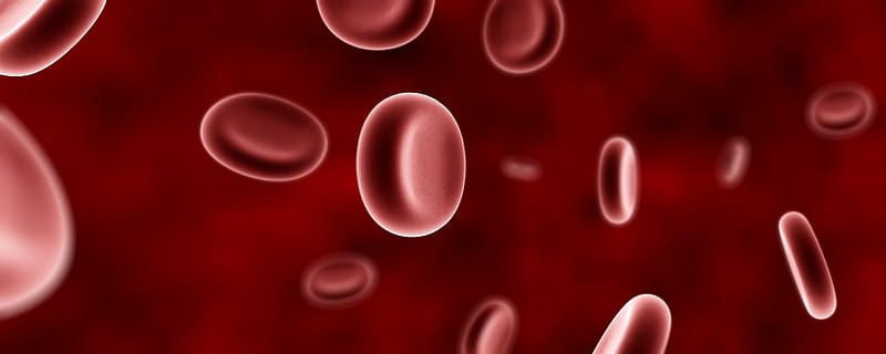 Blood Cells, red, dual monitor, dual screen, microscopic, HD wallpaper