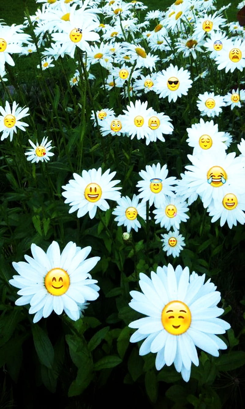 Flower Smileys, emoji, emoticon, HD phone wallpaper